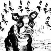 アヒル商会の画像