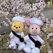 にゃーの画像