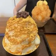 きの画像