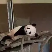 MAの画像