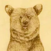 ぐもぐもの画像