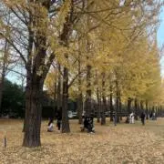 ブイ