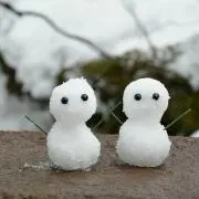 ゆきんこ