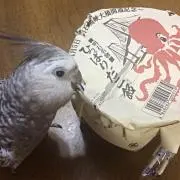 ちょこ