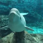 このの画像