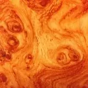 レアリゼの画像