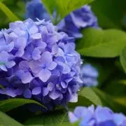 ka ※プロフィール必読！！！！！の画像