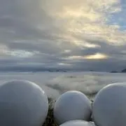 Nagiの画像