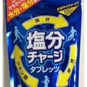 塩分チャージャーの画像