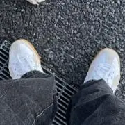 サヤの画像