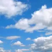 あおの画像