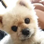 まお