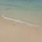 ttt 平日のみ発送の画像