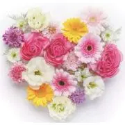 姫❤︎Shopの画像