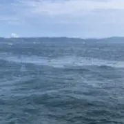 wakoの画像