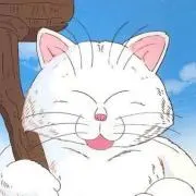 リニューアルOPEN準備中