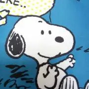 チェリーの画像