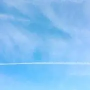 orangerの画像