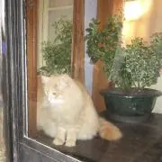 87の画像