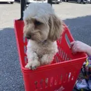 なお0801の画像