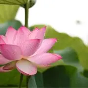 けー
