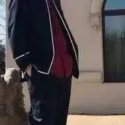 よもぎの画像