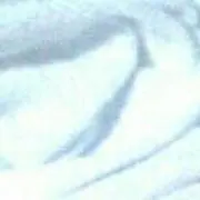 もち