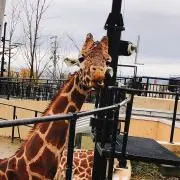 sumai7の画像