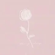 ぽぽ