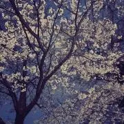 ユカの画像