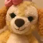 花♡土日祝発送不可プロフ読んで下さい。の画像