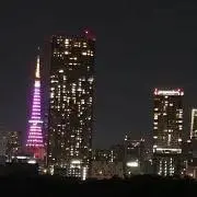 mahaloの画像