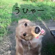 CHIARA@プロフ必読。