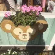 まめ♡の画像