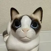 シャム猫の画像