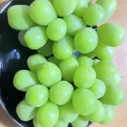Cocoの画像