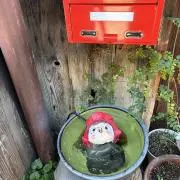 miemieの画像
