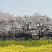 yoshixheroの画像