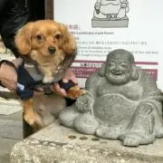 ひろ