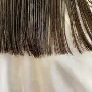 こちえの遊び場