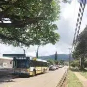 アロハの画像