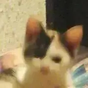 もぐさん★