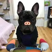 ママ