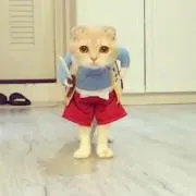 さくらんぼウサギ  プロフィール必読