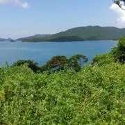 汽笛(即購入歓迎)★まとめ買い歓迎の画像