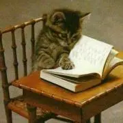 Book猫ちゃんの画像