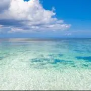 aaa