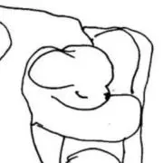 ごうやちゃんぷるの画像