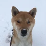 おっち
