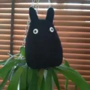 Ururuの画像
